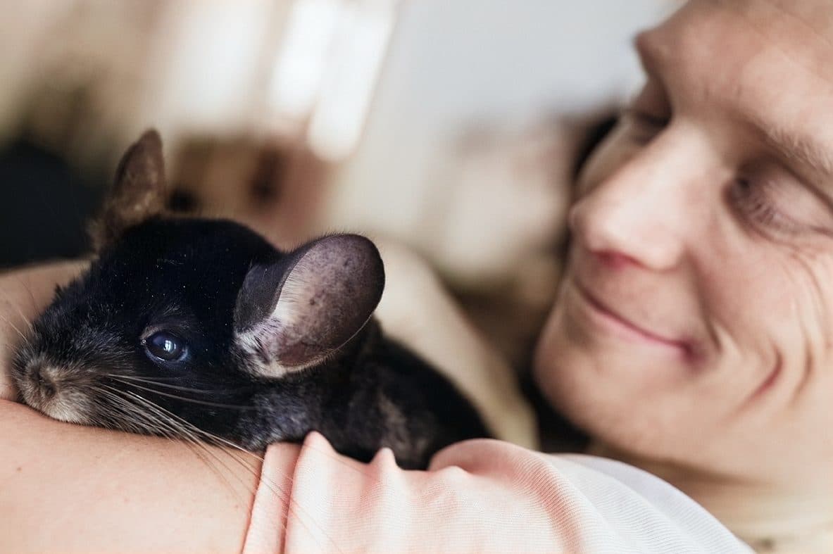 mand med chinchilla