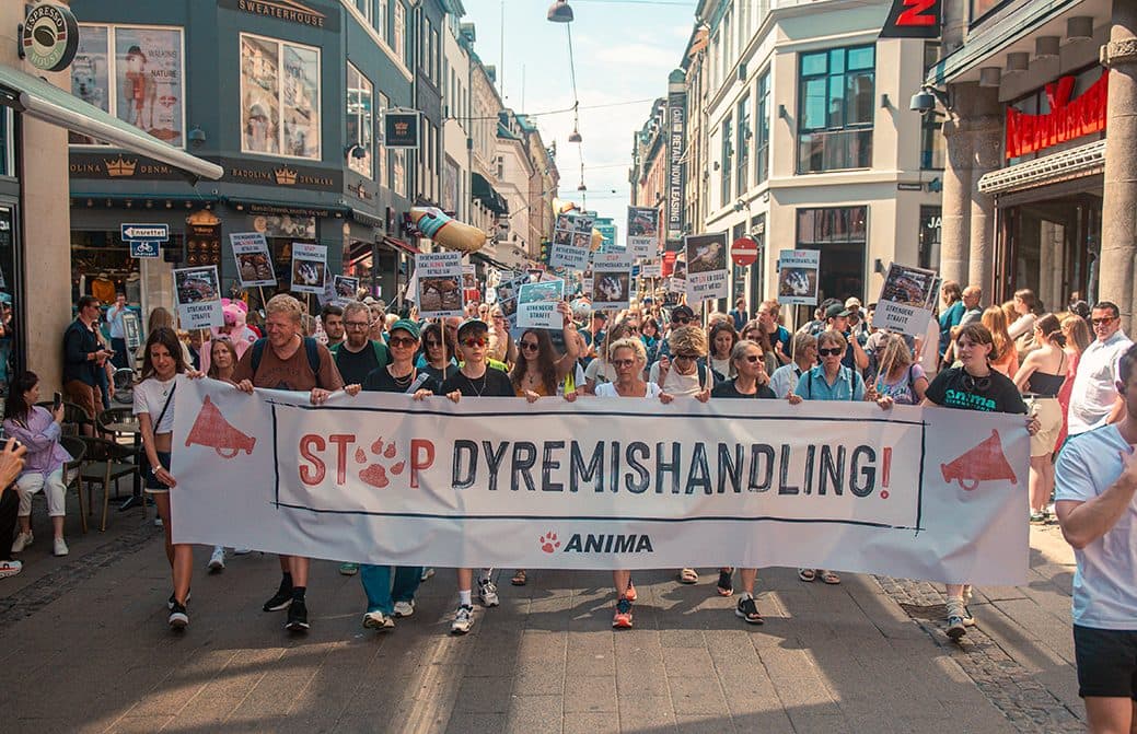 demonstration for dyrene