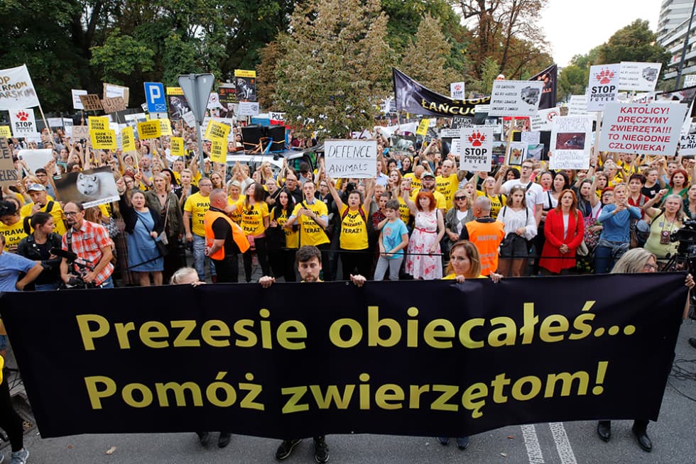 demonstration mod pelsavl