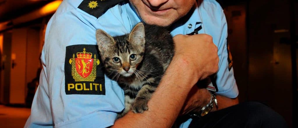 politimand og kat